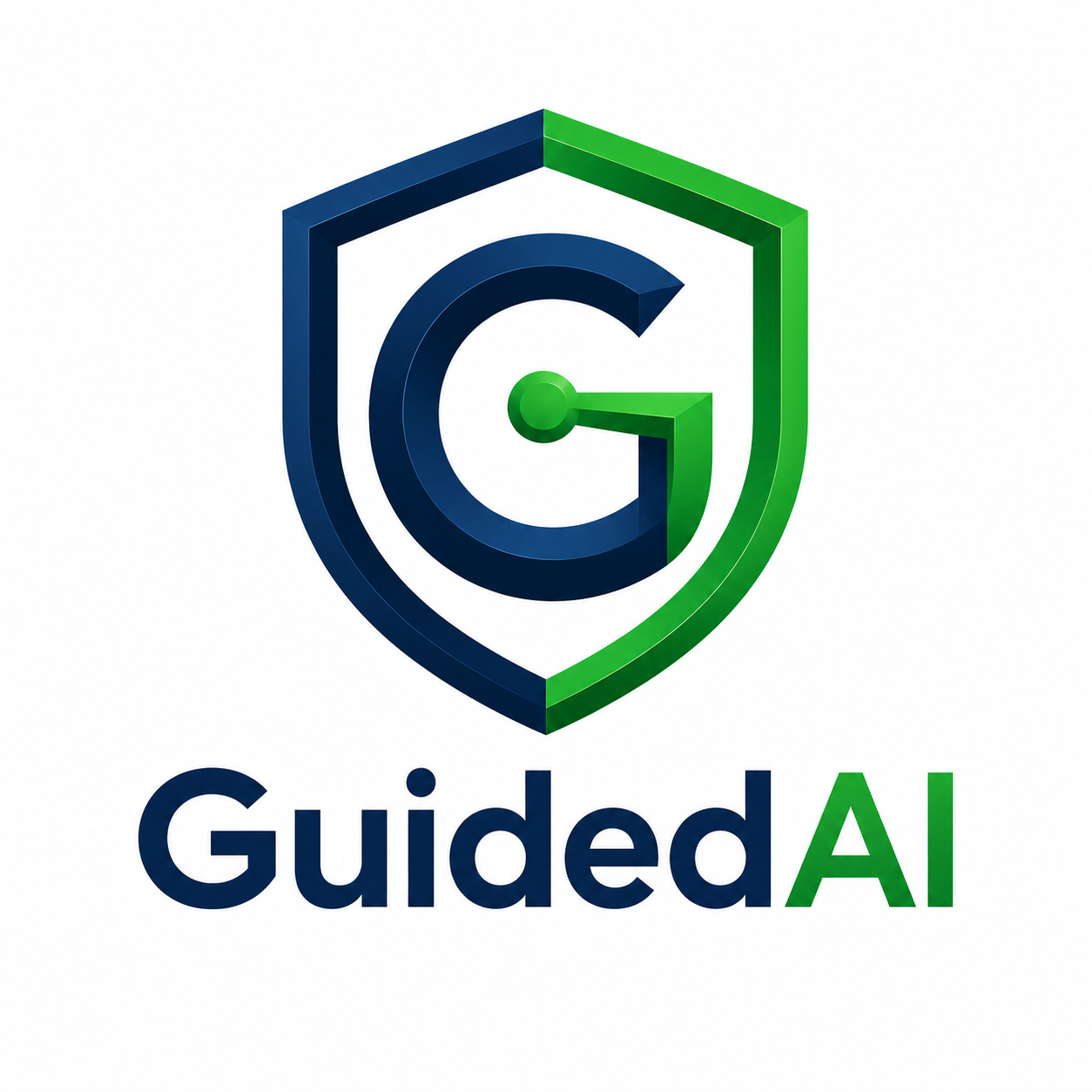 Guided AI